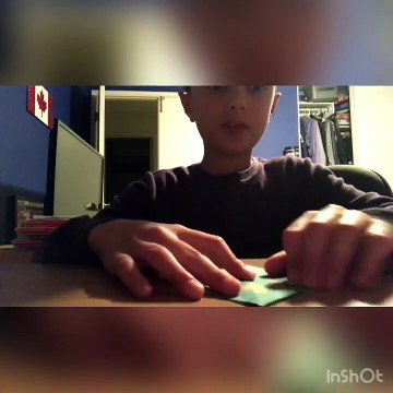 Lev Aronson | Origami Among Us Characters