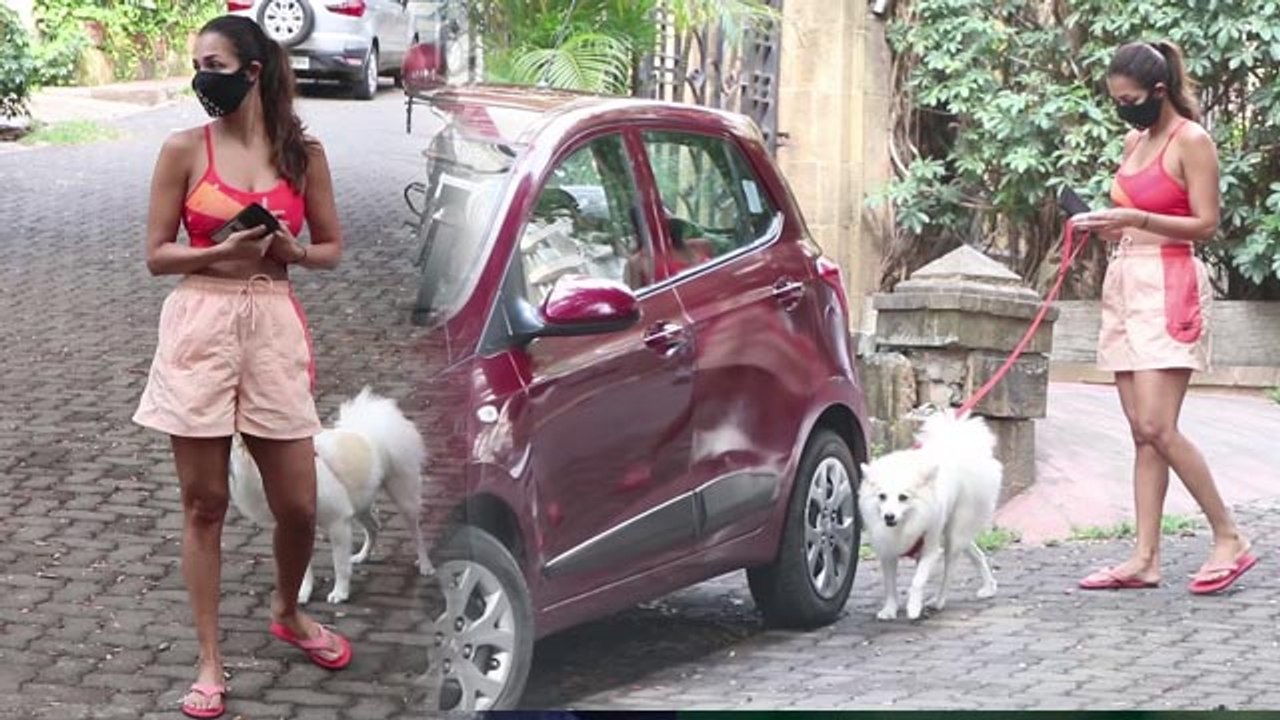 Malaika Arora सुबह सुबह अपने Dog संग निकली jogging करने, Watch video | FilmiBeat