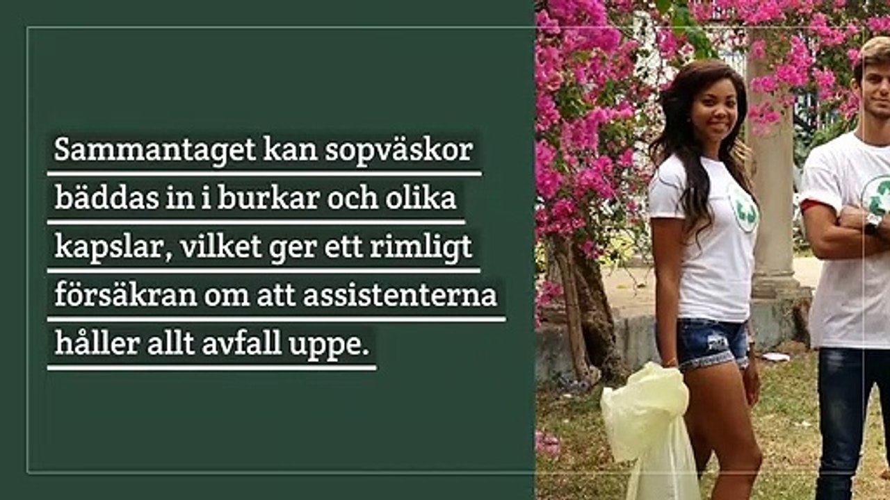 TiksPac - Viktigaste tydliga faktorerna för papperskorgen