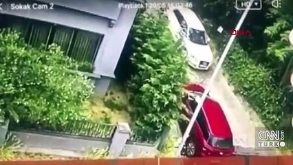 Yavru köpeği ezip kaçtı