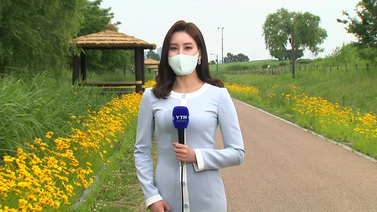 [날씨] 오늘 구름 많고 초여름...내일 30℃ 안팎 더위 / YTN