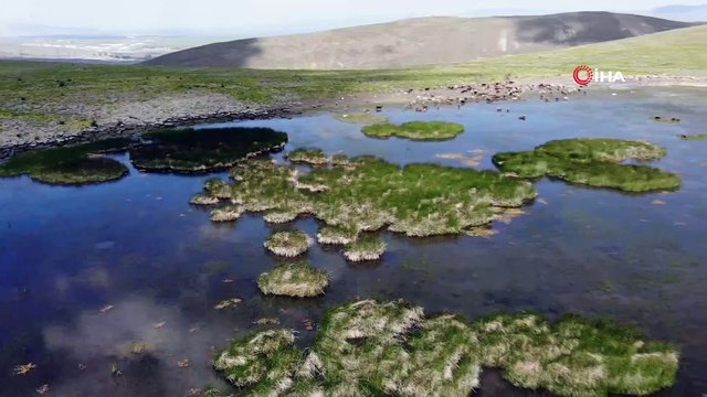 Erzurum'da kuraklık hat safhada...Göller birer birer kuruyor