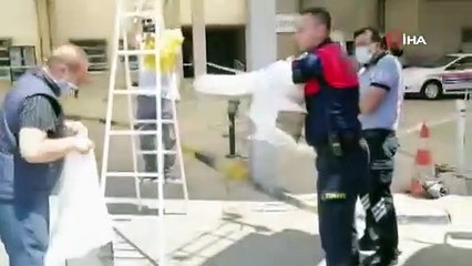 Acil servisi arılar bastı, itfaiye şekerli suyla topladı