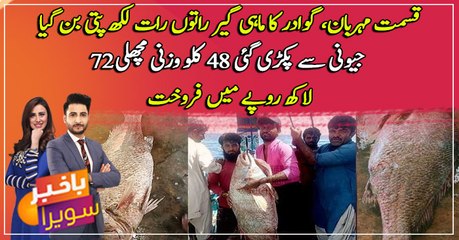 Rare 48-kilo Atlantic croaker fish sold for Rs 72 lakh in Pakistan