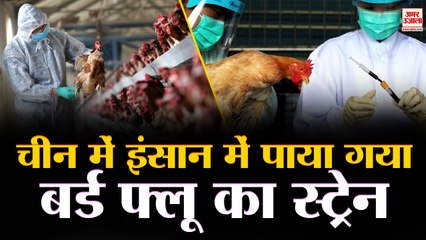 China में एक व्यक्ति के अंदर मिला Bird Flu का  H10N3 Strain,कैसे हुआ Infection जानकारी नहीं