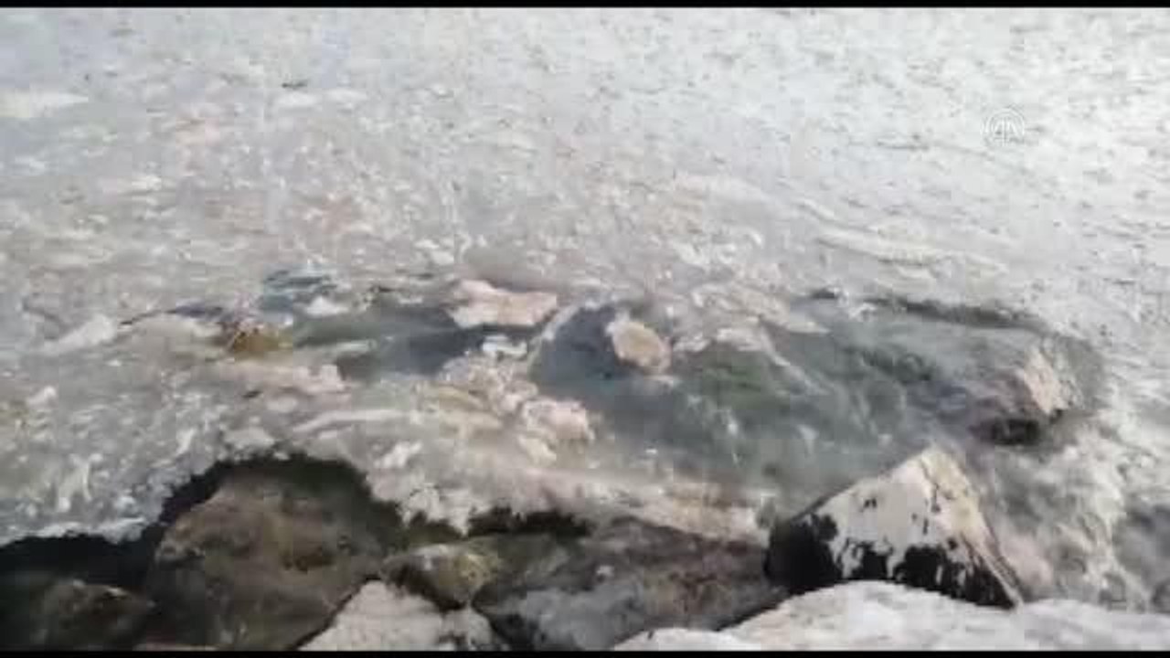 Son dakika haber: Bakan Kurum'un müsilaja ilişkin açıkladığı eylem planı bilim insanlarını sevindirdi