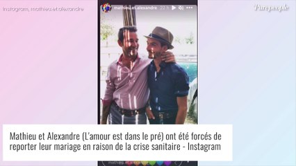 Alexandre (L'amour est dans le pré) : Son costume original pour son mariage avec Mathieu dévoilé