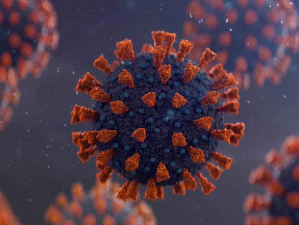 Neue Namen für Corona: So heißen die Mutationen jetzt
