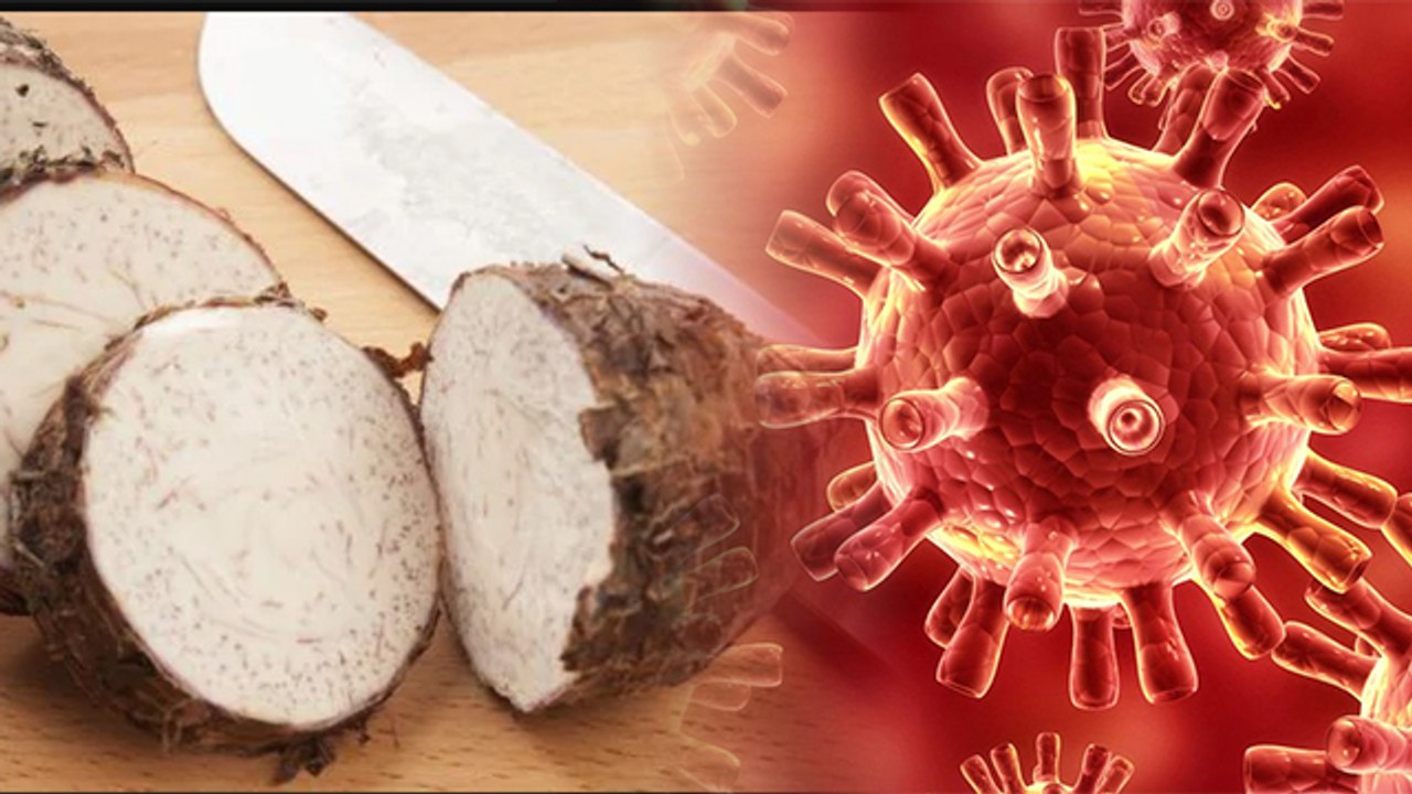 Coronavirus के वक्त Diabetes Control करने में असरदार है अरबी के पत्ते,ऐसे करें सेवन । Boldsky
