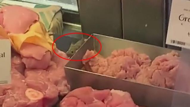 Markette mide bulandıran görüntü! Fare, kasap reyonundaki etleri böyle yedi
