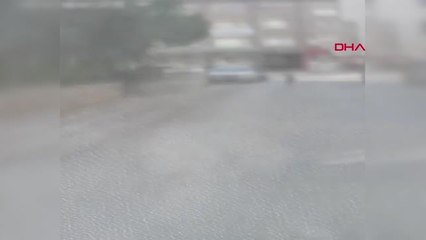 TOKAT YAVRU KARACA ŞEHİR MERKEZİNE İNDİ