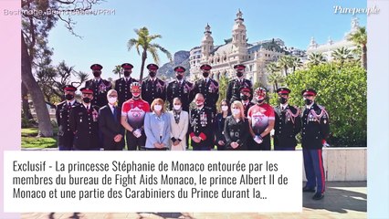 Stéphanie de Monaco enfile blouse et masque : rare apparition de la princesse au naturel