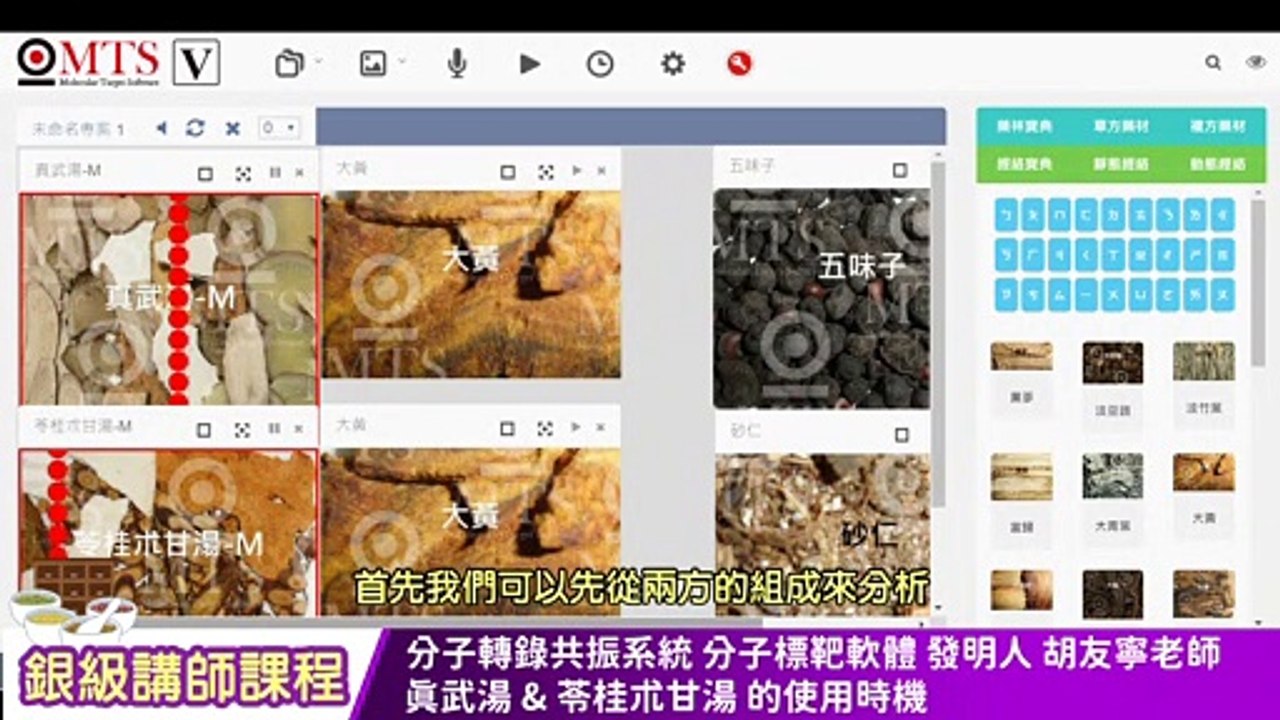 【中文字幕】wellness銀級講師課程 「真武湯」和「苓桂朮甘湯」的使用時機