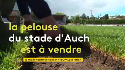 Des carrés de pelouse du stade du Rugby Club d'Auch vendus pour lutter contre le cancer du sein
