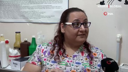 Kocaeli'de veterinere şaşkına çeviren soru: Kedi, köpeğe taktığınız çipi kızıma da takabilir misiniz?