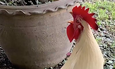 เรื่องพลบค่ำ ช่วงที่ 1 วันอังคารที่ 1 มิ.ย.64