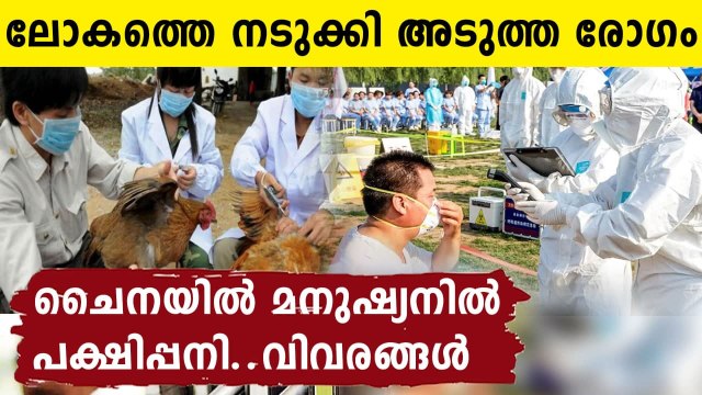 In world's first case, China reports human getting infected with H10N3 bird flu