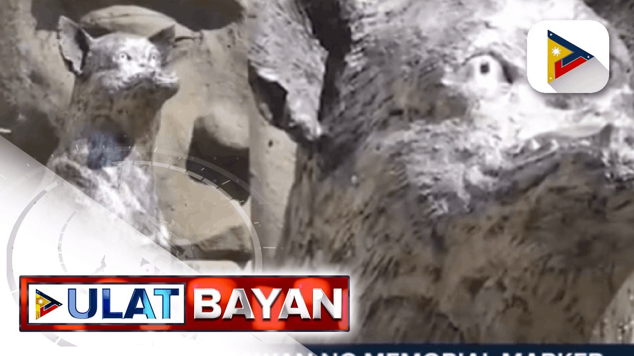 Artist, ginawan ng memorial marker ang namayapang aspin na si Kabang; Memorial marker ni kabang, ilalagay sa Pasonanca park sa Zamboanga city
