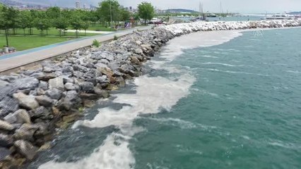 Deniz salyası Anadolu Yakası'nda bazı bölgelerde görülmeye devam ediyor