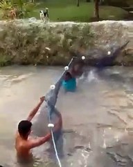 Ağdan uçarak kaçan balıklar