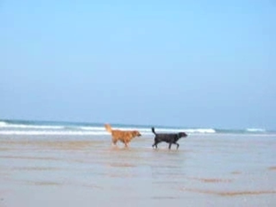 Baignade2
