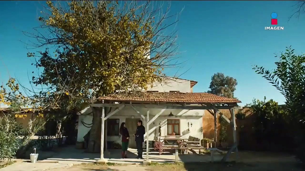 Tierra amarga Capitulo 202