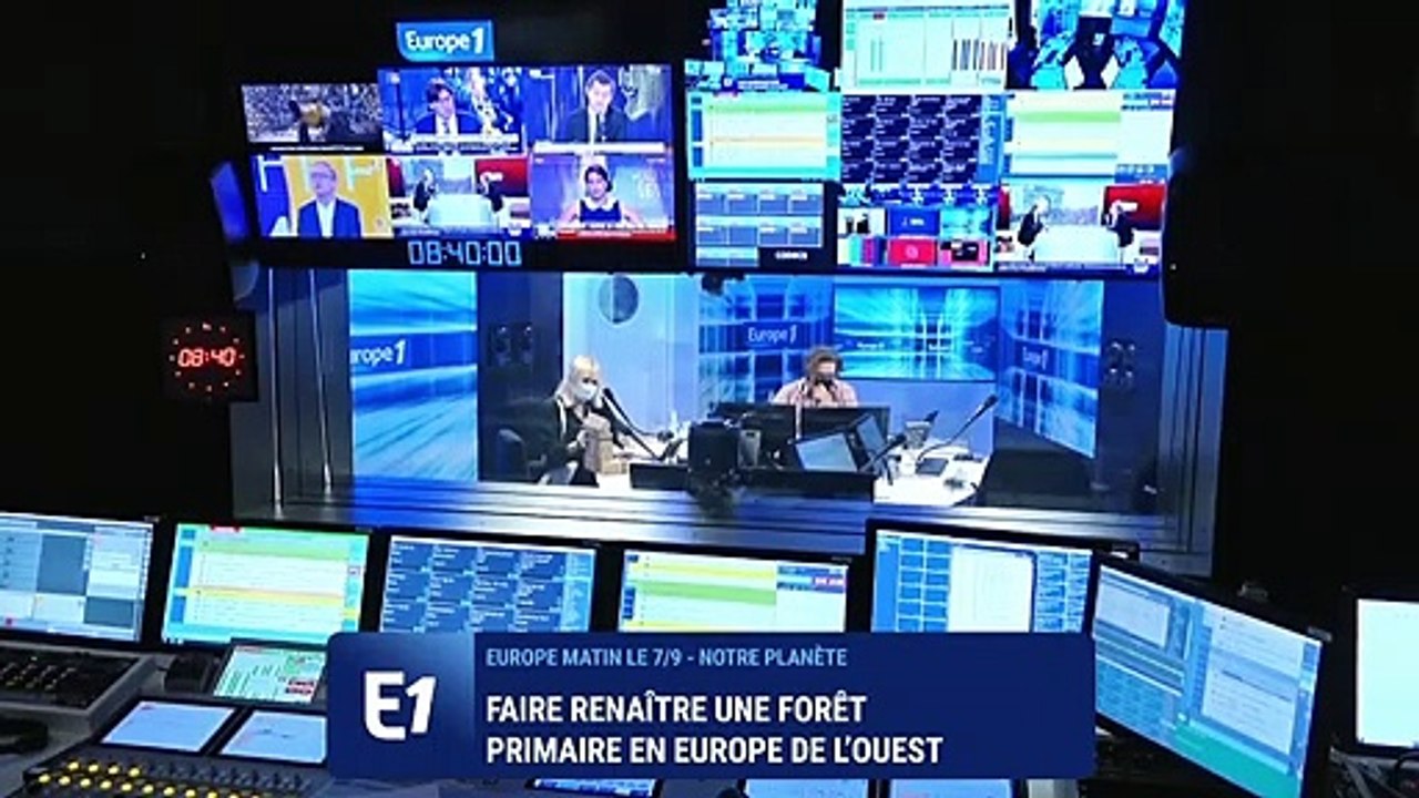 Comment faire renaître une forêt primaire en Europe de l’ouest ?