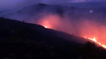 Son dakika: İzmir'de çöp depolama alanında başlayan yangın ormana sıçradı | Video