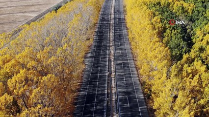 Karayolunda eşsiz sonbahar manzarası