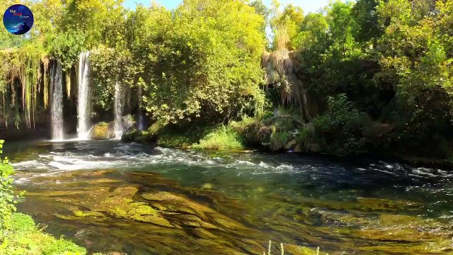 4K Virtual Forest View - Part 5 Nature Therapy: Relaxing Full Motion Forestry with Natural Sounds | Relax Music