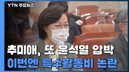 秋 "검찰총장 주머닛돈처럼 사용"...또 도마 위 오른 특수활동비 / YTN