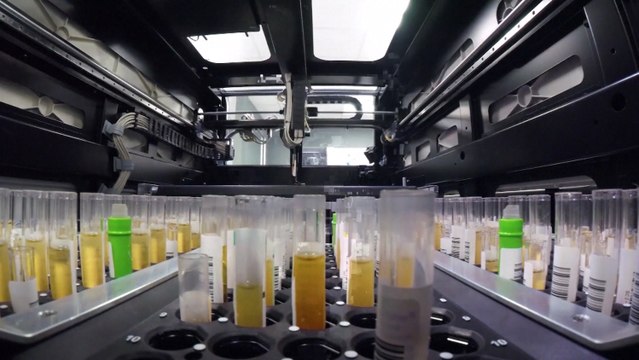 La pandemia de coronavirus pulveriza su récord diario de nuevos casos