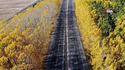 Kara yolunda eşsiz sonbahar manzarası