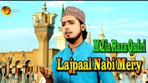 Lajpaal Nabi Mery  | Naat | Prophet Mohammad PBH | M Zia Raza Qadri | HD