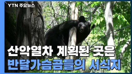 지리산 형제봉 반달곰 서식지에 산악열차 건설 논란 / YTN