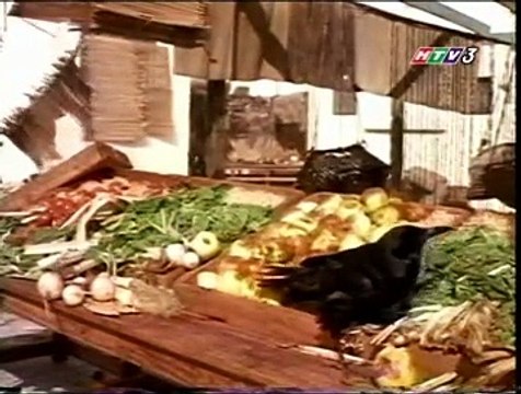 Những Cuộc Phiêu Lưu Của Sinbad - The Adventures Of Sinbad [Tập 35]