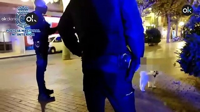 La Policía Nacional multa a una señora por pasear a su perro a la 1.30 de la madrugada
