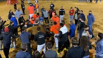AnimaNaturalis denuncia los toros embolados de Vila-real