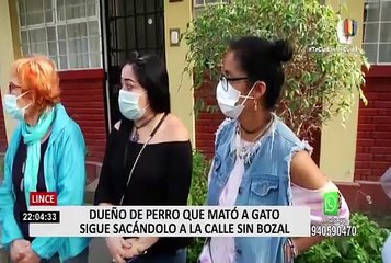 下载视频: Dueño de perro que mató a gato permite que su mascota continúe saliendo a la calle sin bozal