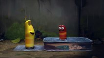 Larva| Best cartoons | Dancing in the rain - Larva Season 1 Episode 3