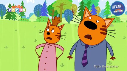 Tatlı Kedicikler _ Piknik Sepeti - 3. Bölüm çizgi film
