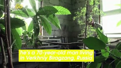 Must-see! Man Builds His Dream Home from Natural Materials for Over 20 Years