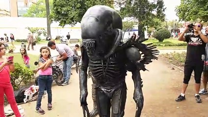 Alien vs Depredador en viña del mar