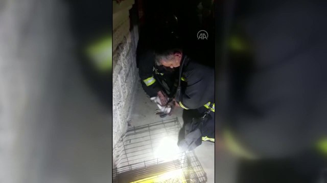 İtfaiye ekibi, dumandan zehirlenen tavşana kalp masajı yaptı - MUĞLA
