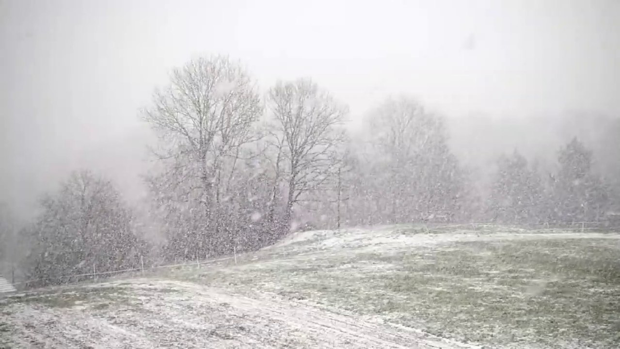 Snow Falling with Relaxing Music for Relaxation, Meditation, Sleep, Study, Insomnia