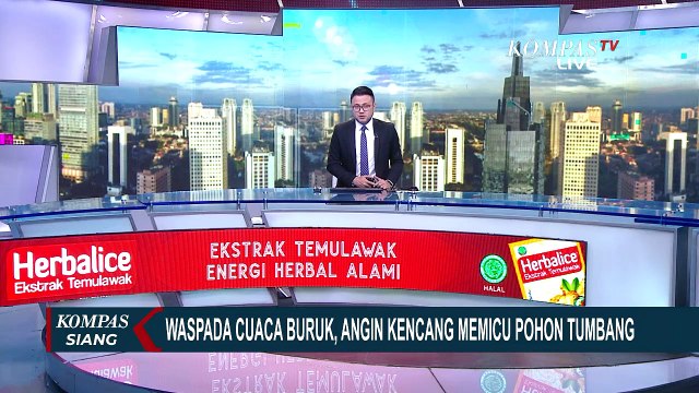 2 Pohon Besar Tumbang di Banyumas, Rumah Makan dan 1 Mobil Tertimpa