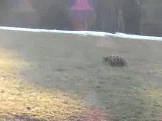 17 Fev 2008 3° Partie