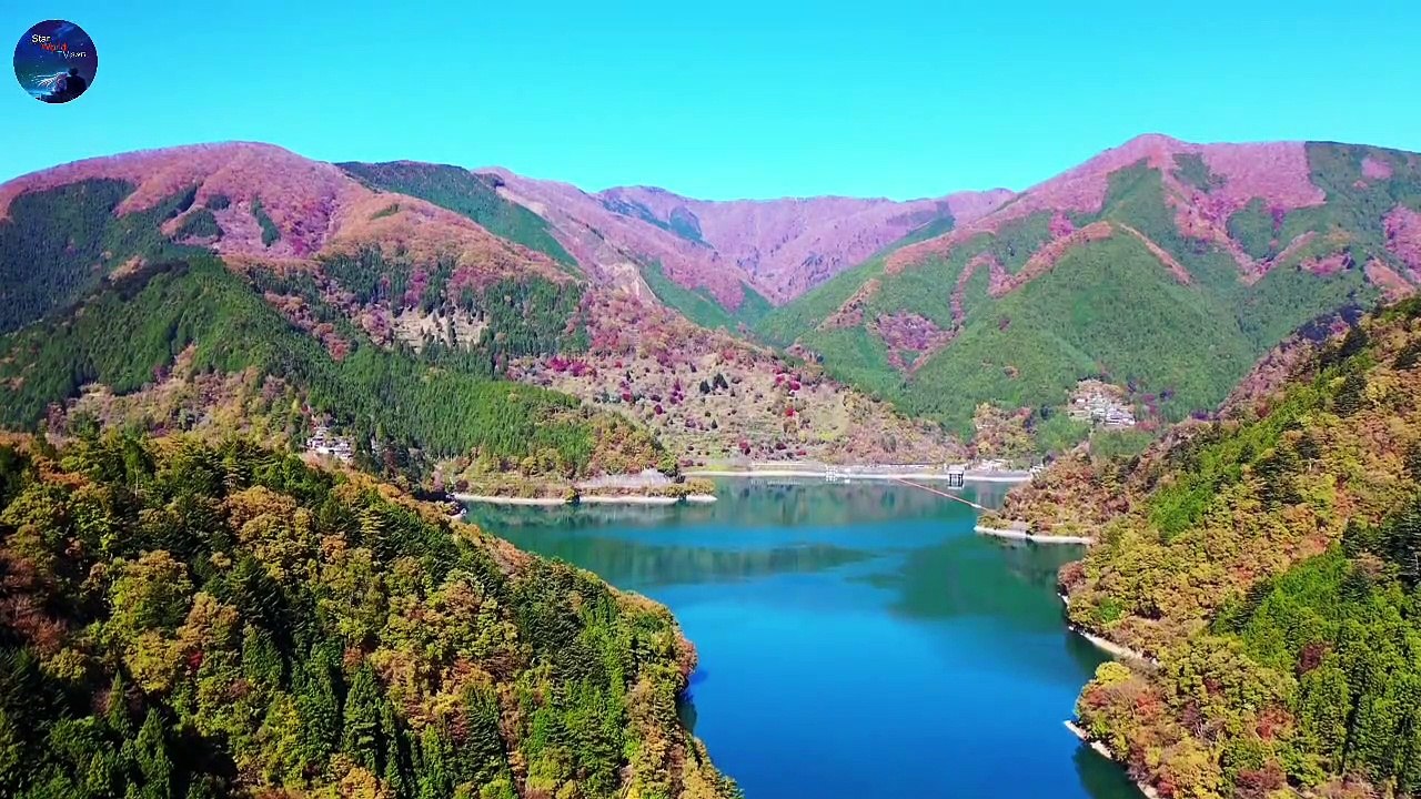 4K Virtual Forest View - Part  6 Nature Therapy: Relaxing Full Motion Forestry with Natural Sounds | Relax Music