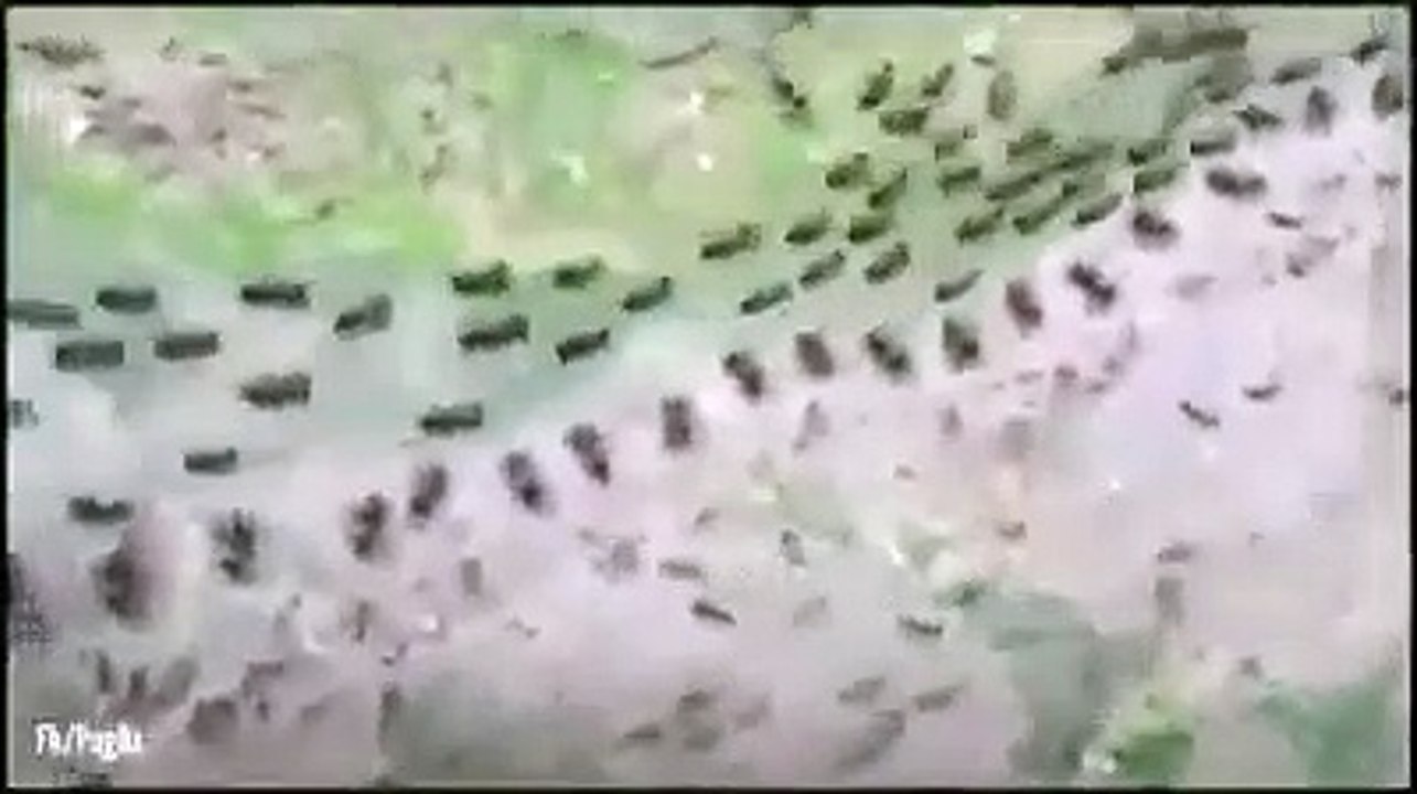 حالات واتس اب دينية ---بصوت عبدالباسط عبدالصمد ❣حالات واتس اب قران --مقاطع قران قصيرة _تلاوة خاشعة(360P)_1