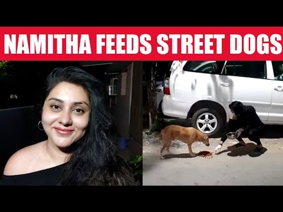 VIDEO: Namitha's Message to All Dog Lovers